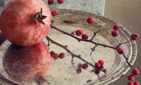 &Omicron;&iota; &tau;&rho;&omicron;&phi;έ&sigmaf;-&sigma;ύ&mu;&mu;&alpha;&chi;&omicron;&iota; &tau;&eta;&sigmaf; &mu;&alpha;&kappa;&rho;&omicron;&zeta;&omega;ί&alpha;&sigmaf;