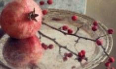 &Omicron;&iota; &tau;&rho;&omicron;&phi;έ&sigmaf;-&sigma;ύ&mu;&mu;&alpha;&chi;&omicron;&iota; &tau;&eta;&sigmaf; &mu;&alpha;&kappa;&rho;&omicron;&zeta;&omega;ί&alpha;&sigmaf;