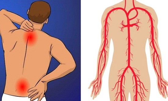 11 &laquo;&alpha;&theta;ώ&alpha;&raquo; &sigma;&upsilon;&mu;&pi;&tau;ώ&mu;&alpha;&tau;&alpha; ό&tau;&iota; &tau;&omicron; &sigma;ώ&mu;&alpha; &sigma;&alpha;&sigmaf; &epsilon;ί&nu;&alpha;&iota; &gamma;&epsilon;&mu;ά&tau;&omicron; &tau;&omicron;&xi;ί&nu;&epsilon;&sigmaf;