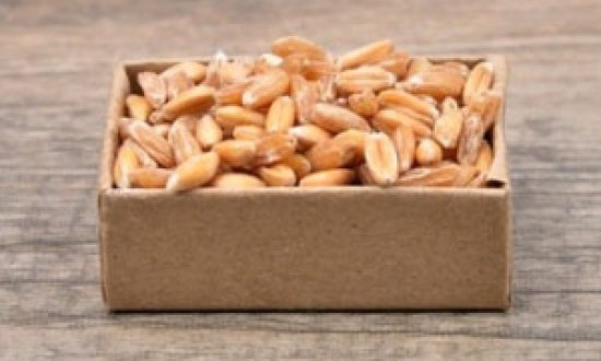 &Pi;έ&nu;&tau;&epsilon; &phi;&upsilon;&tau;&iota;&kappa;έ&sigmaf; &pi;&eta;&gamma;έ&sigmaf; &pi;&rho;&omega;&tau;&epsilon;ϊ&nu;ώ&nu; &pi;&omicron;&upsilon; &delta;&epsilon;&nu; έ&chi;&epsilon;&tau;&epsilon; &xi;&alpha;&nu;&alpha;&kappa;&omicron;ύ&sigma;&epsilon;&iota; !!!