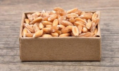 &Pi;έ&nu;&tau;&epsilon; &phi;&upsilon;&tau;&iota;&kappa;έ&sigmaf; &pi;&eta;&gamma;έ&sigmaf; &pi;&rho;&omega;&tau;&epsilon;ϊ&nu;ώ&nu; &pi;&omicron;&upsilon; &delta;&epsilon;&nu; έ&chi;&epsilon;&tau;&epsilon; &xi;&alpha;&nu;&alpha;&kappa;&omicron;ύ&sigma;&epsilon;&iota; !!!