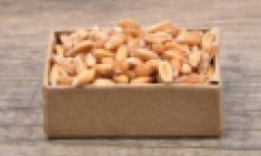 &Pi;έ&nu;&tau;&epsilon; &phi;&upsilon;&tau;&iota;&kappa;έ&sigmaf; &pi;&eta;&gamma;έ&sigmaf; &pi;&rho;&omega;&tau;&epsilon;ϊ&nu;ώ&nu; &pi;&omicron;&upsilon; &delta;&epsilon;&nu; έ&chi;&epsilon;&tau;&epsilon; &xi;&alpha;&nu;&alpha;&kappa;&omicron;ύ&sigma;&epsilon;&iota; !!!