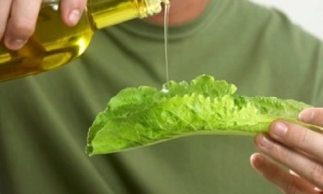 &Tau;&omicron; &epsilon;&lambda;&lambda;&eta;&nu;&iota;&kappa;ό &epsilon;&lambda;&alpha;&iota;ό&lambda;&alpha;&delta;&omicron; &laquo;&alpha;&sigma;&pi;ί&delta;&alpha;&raquo; &epsilon;&nu;ά&nu;&tau;&iota;&alpha; &sigma;&tau;&omicron;&nu; &kappa;&alpha;&rho;&kappa;ί&nu;&omicron;!