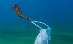 &Tau;&omicron; &laquo;&kappa;&lambda;&iota;&kappa;&raquo; &tau;&eta;&sigmaf; &chi;&rho;&omicron;&nu;&iota;ά&sigmaf;: &Mu;ά&sigma;&kappa;&alpha; &pi;&rho;&omicron;&sigma;&tau;&alpha;&sigma;ί&alpha;&sigmaf; &pi;&iota;ά&sigma;&tau;&eta;&kappa;&epsilon; &sigma;&tau;&eta;&nu; &omicron;&upsilon;&rho;ά &iota;&pi;&pi;ό&kappa;&alpha;&mu;&pi;&omicron;&upsilon;!