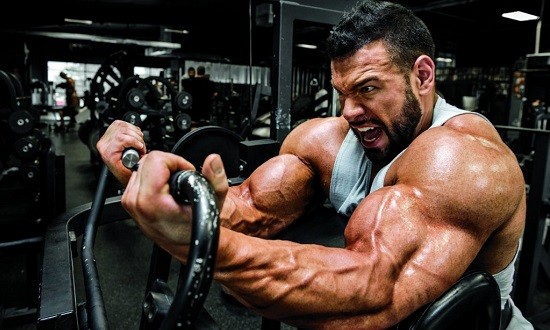 Bodybuilding: &Tau;&omicron; &tau;&epsilon;&sigma;&tau; &gamma;&iota;&alpha; &tau;&eta;&nu; &gamma;&rho;ή&gamma;&omicron;&rho;&eta; &alpha;&nu;ά&pi;&tau;&upsilon;&xi;&eta; &tau;&omega;&nu; &mu;&upsilon;ώ&nu;