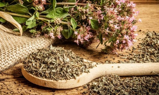 &Omicron;&iota; 8 &omega;&phi;έ&lambda;&iota;&mu;&epsilon;&sigmaf; &iota;&delta;&iota;ό&tau;&eta;&tau;&epsilon;&sigmaf; &tau;&eta;&sigmaf; &rho;ί&gamma;&alpha;&nu;&eta;&sigmaf; &pi;&omicron;&upsilon; ί&sigma;&omega;&sigmaf; &alpha;&gamma;&nu;&omicron;&omicron;ύ&sigma;&epsilon;&sigmaf;