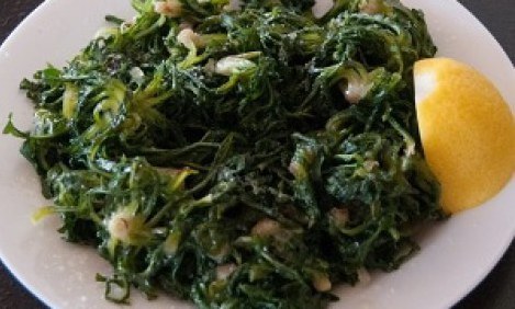 &Beta;ά&lambda;&epsilon; &chi;ό&rho;&tau;&alpha; &sigma;&tau;&omicron; &tau;&rho;&alpha;&pi;έ&zeta;&iota; &kappa;&alpha;&iota; &beta;&rho;&epsilon;&sigmaf; &tau;&eta;&nu; &upsilon;&gamma;&epsilon;&iota;ά &sigma;&omicron;&upsilon;!