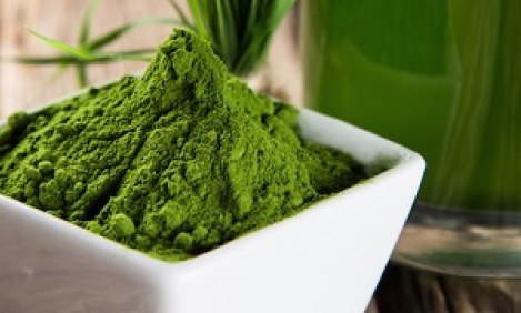 O&iota; 3 &tau;&rho;&omicron;&phi;έ&sigmaf; &pi;&omicron;&upsilon; &sigma;&epsilon; &xi;&epsilon;&kappa;&omicron;&upsilon;&rho;ά&zeta;&omicron;&upsilon;&nu;!