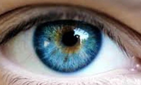 6 τροφές για την υγεία των ματιών