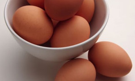 &Pi;έ&nu;&tau;&epsilon; &tau;&rho;&omicron;&phi;έ&sigmaf; &mu;&epsilon; &pi;&epsilon;&rho;&iota;&sigma;&sigma;ό&tau;&epsilon;&rho;&eta; &pi;&rho;&omega;&tau;&epsilon;ΐ&nu;&eta; &alpha;&pi;ό &tau;&omicron; &alpha;&upsilon;&gamma;ό