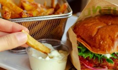 &Tau;&alpha; &epsilon;&pi;&iota;&kappa;ί&nu;&delta;&upsilon;&nu;&alpha; &tau;&rho;ό&phi;&iota;&mu;&alpha; &pi;&omicron;&upsilon; &omicron;&delta;&eta;&gamma;&omicron;ύ&nu; &sigma;&epsilon; &kappa;&alpha;&tau;ά&theta;&lambda;&iota;&psi;&eta; &kappa;&alpha;&iota; &kappa;ό&beta;&omicron;&upsilon;&nu; &chi;&rho;ό&nu;&iota;&alpha; &alpha;&pi;ό &tau;&eta; &zeta;&omega;ή &mu;&alpha;&sigmaf;