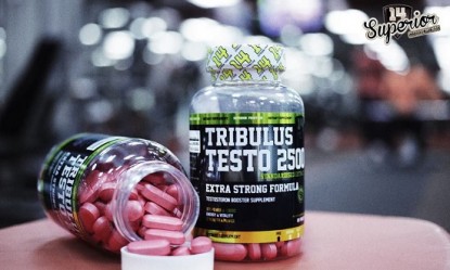 Tribulus Testo 2500, &gamma;&iota;&alpha; &epsilon;&nu;ί&sigma;&chi;&upsilon;&sigma;&eta; &tau;&epsilon;&sigma;&tau;&omicron;&sigma;&tau;&epsilon;&rho;ό&nu;&eta;&sigmaf; &kappa;&alpha;&iota; &laquo;&tau;&omicron;&upsilon;&rho;&mu;&pi;ά&tau;&epsilon;&sigmaf;&raquo; &epsilon;&pi;&iota;&delta;ό&sigma;&epsilon;&iota;&sigmaf;