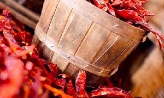 &Eta; &sigma;&chi;έ&sigma;&eta; &alpha;&nu;ά&mu;&epsilon;&sigma;&alpha; &sigma;&tau;&alpha; &pi;&iota;&kappa;ά&nu;&tau;&iota;&kappa;&alpha; &phi;&alpha;&gamma;&eta;&tau;ά &kappa;&alpha;&iota; &tau;&eta;&nu; &tau;&epsilon;&sigma;&tau;&omicron;&sigma;&tau;&epsilon;&rho;ό&nu;&eta;