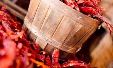 &Eta; &sigma;&chi;έ&sigma;&eta; &alpha;&nu;ά&mu;&epsilon;&sigma;&alpha; &sigma;&tau;&alpha; &pi;&iota;&kappa;ά&nu;&tau;&iota;&kappa;&alpha; &phi;&alpha;&gamma;&eta;&tau;ά &kappa;&alpha;&iota; &tau;&eta;&nu; &tau;&epsilon;&sigma;&tau;&omicron;&sigma;&tau;&epsilon;&rho;ό&nu;&eta;