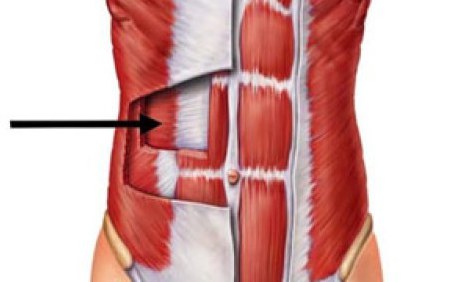 &Epsilon;&gamma;&kappa;ά&rho;&sigma;&iota;&omicron;&sigmaf; &kappa;&omicron;&iota;&lambda;&iota;&alpha;&kappa;ό&sigmaf;: &Omicron; &sigma;&eta;&mu;&alpha;&nu;&tau;&iota;&kappa;ό&tau;&epsilon;&rho;&omicron;&sigmaf; &mu;&upsilon;&sigmaf; &gamma;&iota;&alpha; &tau;&eta;&nu; &sigma;&tau;&alpha;&theta;&epsilon;&rho;&omicron;&pi;&omicron;ί&eta;&sigma;&eta; &tau;&omicron;&upsilon; &kappa;&omicron;&rho;&mu;&omicron;ύ