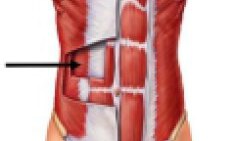 &Epsilon;&gamma;&kappa;ά&rho;&sigma;&iota;&omicron;&sigmaf; &kappa;&omicron;&iota;&lambda;&iota;&alpha;&kappa;ό&sigmaf;: &Omicron; &sigma;&eta;&mu;&alpha;&nu;&tau;&iota;&kappa;ό&tau;&epsilon;&rho;&omicron;&sigmaf; &mu;&upsilon;&sigmaf; &gamma;&iota;&alpha; &tau;&eta;&nu; &sigma;&tau;&alpha;&theta;&epsilon;&rho;&omicron;&pi;&omicron;ί&eta;&sigma;&eta; &tau;&omicron;&upsilon; &kappa;&omicron;&rho;&mu;&omicron;ύ