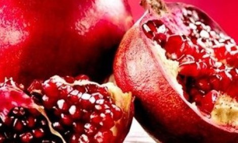 &Rho;ό&delta;&iota;&alpha;: &Epsilon;&nu;ά&nu;&tau;&iota;&alpha; &sigma;&tau;&omicron;&nu; &kappa;&alpha;&rho;&kappa;ί&nu;&omicron; &kappa;&alpha;&iota; &tau;&eta; &gamma;ή&rho;&alpha;&nu;&sigma;&eta;