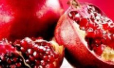 &Rho;ό&delta;&iota;&alpha;: &Epsilon;&nu;ά&nu;&tau;&iota;&alpha; &sigma;&tau;&omicron;&nu; &kappa;&alpha;&rho;&kappa;ί&nu;&omicron; &kappa;&alpha;&iota; &tau;&eta; &gamma;ή&rho;&alpha;&nu;&sigma;&eta;