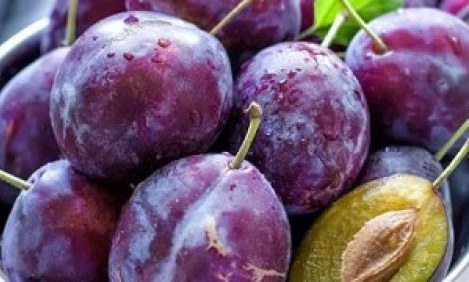 &Tau;&omicron; &gamma;&lambda;&upsilon;&kappa;ό &phi;&rho;&omicron;ύ&tau;&omicron; &pi;&omicron;&upsilon; &alpha;&phi;&alpha;&iota;&rho;&epsilon;ί &pi;ό&nu;&tau;&omicron;&upsilon;&sigmaf; &alpha;&pi;ό &tau;&eta; &mu;έ&sigma;&eta;