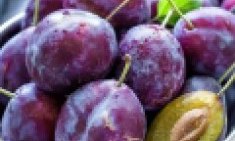 &Tau;&omicron; &gamma;&lambda;&upsilon;&kappa;ό &phi;&rho;&omicron;ύ&tau;&omicron; &pi;&omicron;&upsilon; &alpha;&phi;&alpha;&iota;&rho;&epsilon;ί &pi;ό&nu;&tau;&omicron;&upsilon;&sigmaf; &alpha;&pi;ό &tau;&eta; &mu;έ&sigma;&eta;