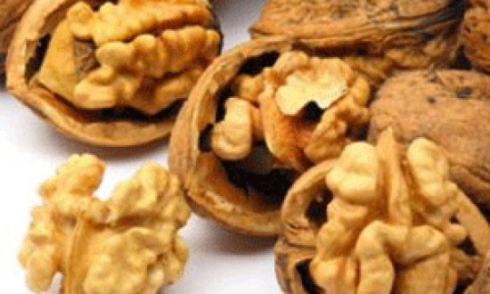 &Tau;&alpha; &kappa;&alpha;&rho;ύ&delta;&iota;&alpha; &beta;&epsilon;&lambda;&tau;&iota;ώ&nu;&omicron;&upsilon;&nu; &tau;&eta;&nu; &pi;&omicron;&iota;ό&tau;&eta;&tau;&alpha; &tau;&omicron;&upsilon; &sigma;&pi;έ&rho;&mu;&alpha;&tau;&omicron;&sigmaf; !!!