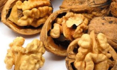 &Tau;&alpha; &kappa;&alpha;&rho;ύ&delta;&iota;&alpha; &beta;&epsilon;&lambda;&tau;&iota;ώ&nu;&omicron;&upsilon;&nu; &tau;&eta;&nu; &pi;&omicron;&iota;ό&tau;&eta;&tau;&alpha; &tau;&omicron;&upsilon; &sigma;&pi;έ&rho;&mu;&alpha;&tau;&omicron;&sigmaf; !!!