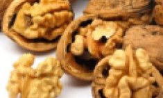 &Tau;&alpha; &kappa;&alpha;&rho;ύ&delta;&iota;&alpha; &beta;&epsilon;&lambda;&tau;&iota;ώ&nu;&omicron;&upsilon;&nu; &tau;&eta;&nu; &pi;&omicron;&iota;ό&tau;&eta;&tau;&alpha; &tau;&omicron;&upsilon; &sigma;&pi;έ&rho;&mu;&alpha;&tau;&omicron;&sigmaf; !!!