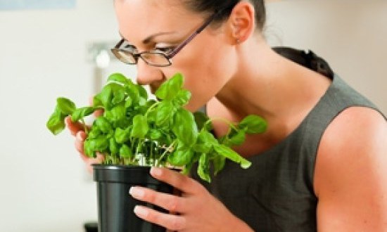 Το μαγικό, πράσινο smoothie που αδυνατίζει