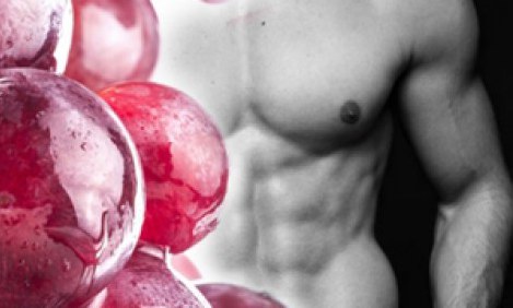 &Kappa;ά&psi;&epsilon; &lambda;ί&pi;&omicron;&sigmaf; &mu;&epsilon; &Rho;&epsilon;&sigma;&beta;&epsilon;&rho;&alpha;&tau;&rho;ό&lambda;&eta;! Έ&nu;&alpha; &iota;&sigma;&chi;&upsilon;&rho;ό &alpha;&nu;&tau;&iota;&omicron;&xi;&epsilon;&iota;&delta;&omega;&tau;&iota;&kappa;ό &pi;&omicron;&upsilon; &alpha;&gamma;&alpha;&pi;ά &tau;&eta;&nu; &upsilon;&gamma;&epsilon;ί&alpha;!