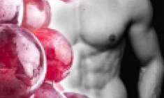 &Kappa;ά&psi;&epsilon; &lambda;ί&pi;&omicron;&sigmaf; &mu;&epsilon; &Rho;&epsilon;&sigma;&beta;&epsilon;&rho;&alpha;&tau;&rho;ό&lambda;&eta;! Έ&nu;&alpha; &iota;&sigma;&chi;&upsilon;&rho;ό &alpha;&nu;&tau;&iota;&omicron;&xi;&epsilon;&iota;&delta;&omega;&tau;&iota;&kappa;ό &pi;&omicron;&upsilon; &alpha;&gamma;&alpha;&pi;ά &tau;&eta;&nu; &upsilon;&gamma;&epsilon;ί&alpha;!