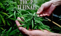 &Tau;&iota; &epsilon;ί&nu;&alpha;&iota; &tau;&omicron; THC-P; Ό&lambda;&alpha; ό&sigma;&alpha; &pi;&rho;έ&pi;&epsilon;&iota; &nu;&alpha; &xi;έ&rho;&epsilon;&iota;&sigmaf;!