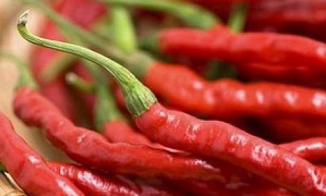 &Theta;έ&lambda;&epsilon;&tau;&epsilon; &nu;&alpha; &zeta;ή&sigma;&epsilon;&tau;&epsilon; &pi;&epsilon;&rho;&iota;&sigma;&sigma;ό&tau;&epsilon;&rho;&omicron;; &Phi;ά&tau;&epsilon; &pi;&iota;&kappa;ά&nu;&tau;&iota;&kappa;&alpha;!