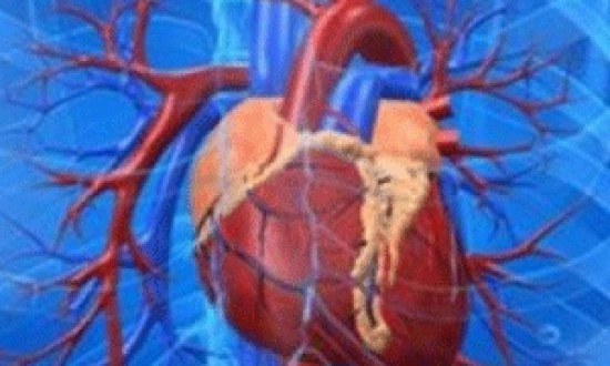 Φτιάξε καρδιά από ατσάλι με 24 συμβουλές !