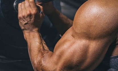 &Eta; &mu;&upsilon;ϊ&kappa;ή &upsilon;&pi;&epsilon;&rho;&tau;&rho;&omicron;&phi;ί&alpha; &kappa;&alpha;&iota; &omicron;&iota; &mu;&eta;&chi;&alpha;&nu;&iota;&sigma;&mu;&omicron;ί &tau;&eta;&sigmaf;