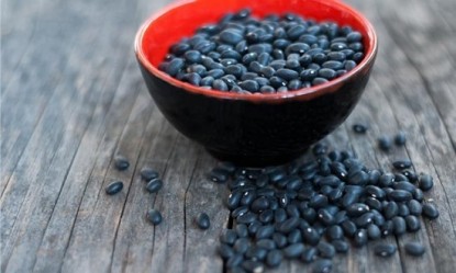 &Omicron;&iota; &tau;&rho;&omicron;&phi;έ&sigmaf; &pi;&omicron;&upsilon; &laquo;&alpha;&gamma;&alpha;&pi;ά&raquo; &eta; &kappa;&alpha;&rho;&delta;&iota;ά