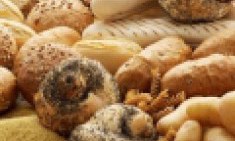 7 &tau;&rho;&omicron;&phi;έ&sigmaf; &pi;&omicron;&upsilon; &mu;&alpha;&sigmaf; &kappa;ά&nu;&omicron;&upsilon;&nu; &nu;&alpha; ... &pi;&epsilon;&iota;&nu;ά&mu;&epsilon; !