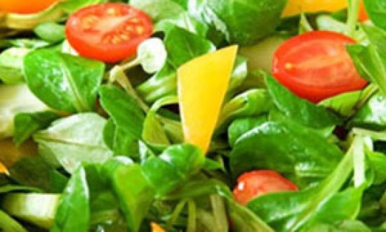 &Omicron;&iota; &alpha;&nu;&omicron;&iota;&xi;&iota;ά&tau;&iota;&kappa;&epsilon;&sigmaf; &tau;&rho;&omicron;&phi;έ&sigmaf; &pi;&omicron;&upsilon; &theta;&alpha; &delta;&iota;ώ&xi;&omicron;&upsilon;&nu; &tau;&alpha; &pi;&epsilon;&rho;&iota;&tau;&tau;ά &kappa;&iota;&lambda;ά &tau;&omicron;&upsilon; &chi;&epsilon;&iota;&mu;ώ&nu;&alpha;