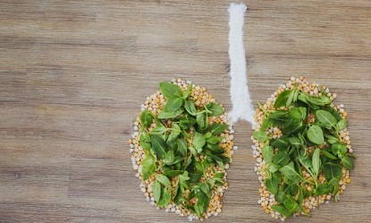 &Delta;&iota;&alpha;&tau;&rho;&omicron;&phi;ή &gamma;&iota;&alpha; &delta;&upsilon;&nu;&alpha;&tau;ά &pi;&nu;&epsilon;&upsilon;&mu;ό&nu;&iota;&alpha; &kappa;&alpha;&iota; &kappa;&alpha;&lambda;ύ&tau;&epsilon;&rho;&eta; &alpha;&nu;&alpha;&pi;&nu;&omicron;ή