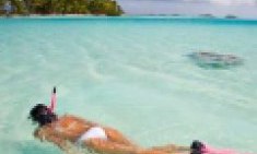 &Tau;ί &nu;&alpha; &mu;&eta;&nu; &phi;&omicron;&rho;έ&sigma;&epsilon;&iota;&sigmaf; &sigma;&tau;&eta;&nu; &pi;&alpha;&rho;&alpha;&lambda;ί&alpha;