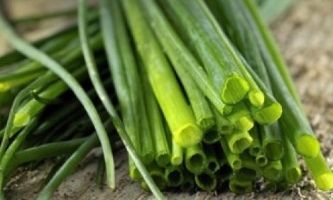 &Tau;&omicron;... &tau;&alpha;&pi;&epsilon;&iota;&nu;ό &upsilon;&pi;&epsilon;&rho;&beta;ό&tau;&alpha;&nu;&omicron; &pi;&omicron;&upsilon; &pi;&rho;&omicron;&sigma;&tau;&alpha;&tau;&epsilon;ύ&epsilon;&iota; &alpha;&pi;ό &tau;&omicron;&nu; &kappa;&alpha;&rho;&kappa;ί&nu;&omicron;!