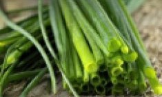 &Tau;&omicron;... &tau;&alpha;&pi;&epsilon;&iota;&nu;ό &upsilon;&pi;&epsilon;&rho;&beta;ό&tau;&alpha;&nu;&omicron; &pi;&omicron;&upsilon; &pi;&rho;&omicron;&sigma;&tau;&alpha;&tau;&epsilon;ύ&epsilon;&iota; &alpha;&pi;ό &tau;&omicron;&nu; &kappa;&alpha;&rho;&kappa;ί&nu;&omicron;!