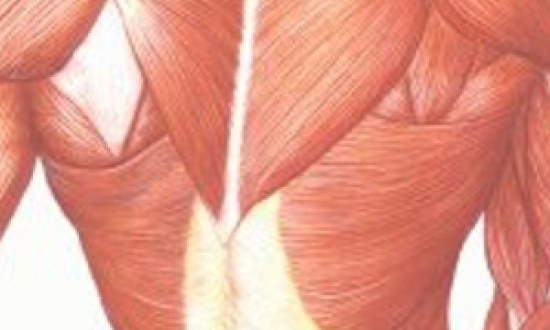 Σαρκοπενία: Ένας ακόμη λόγος να γυμναζόμαστε…