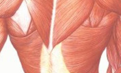 &Sigma;&alpha;&rho;&kappa;&omicron;&pi;&epsilon;&nu;ί&alpha;: Έ&nu;&alpha;&sigmaf; &alpha;&kappa;ό&mu;&eta; &lambda;ό&gamma;&omicron;&sigmaf; &nu;&alpha; &gamma;&upsilon;&mu;&nu;&alpha;&zeta;ό&mu;&alpha;&sigma;&tau;&epsilon;&hellip;