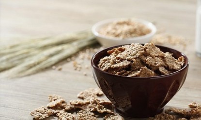 &Gamma;&iota;&alpha;&tau;ί &tau;&alpha; &delta;&eta;&mu;&eta;&tau;&rho;&iota;&alpha;&kappa;ά &omicron;&lambda;&iota;&kappa;ή&sigmaf; ά&lambda;&epsilon;&sigma;&eta;&sigmaf; &epsilon;ί&nu;&alpha;&iota; &alpha;&pi;&alpha;&rho;&alpha;ί&tau;&eta;&tau;&alpha; &sigma;&tau;&omicron;&upsilon;&sigmaf; &alpha;&theta;&lambda;&eta;&tau;έ&sigmaf;