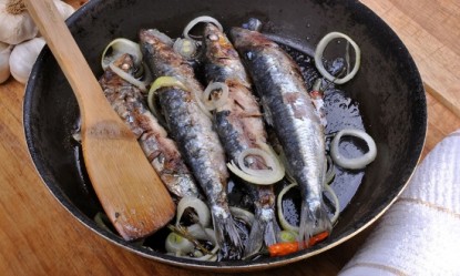 &Gamma;&iota;&alpha;&tau;ί &eta; &sigma;&alpha;&rho;&delta;έ&lambda;&alpha; &theta;&epsilon;&omega;&rho;&epsilon;ί&tau;&alpha;&iota; &upsilon;&pi;&epsilon;&rho;&tau;&rho;&omicron;&phi;ή;