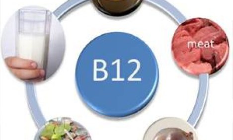 &Eta; &beta;&iota;&tau;&alpha;&mu;ί&nu;&eta; &Beta;12 &alpha;&upsilon;&xi;ά&nu;&epsilon;&iota; &tau;&eta;&nu; &alpha;&pi;&omicron;&tau;&epsilon;&lambda;&epsilon;&sigma;&mu;&alpha;&tau;&iota;&kappa;ό&tau;&eta;&tau;&alpha; &phi;&alpha;&rho;&mu;ά&kappa;&omicron;&upsilon; &pi;&omicron;&upsilon; &epsilon;&pi;&eta;&rho;&epsilon;ά&zeta;&epsilon;&iota; &tau;&eta;&nu; ό&rho;&epsilon;&xi;&eta;