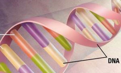 &Eta; &Lambda;&epsilon;&upsilon;&kappa;ί&nu;&eta; &epsilon;&mu;&pi;&omicron;&delta;ί&zeta;&epsilon;&iota; &tau;&eta;&nu; &alpha;&pi;ώ&lambda;&epsilon;&iota;&alpha; &mu;&upsilon;ϊ&kappa;&omicron;ύ &Iota;&sigma;&tau;&omicron;ύ &pi;&omicron;&upsilon; &epsilon;&pi;έ&rho;&chi;&epsilon;&tau;&alpha;&iota; &mu;&epsilon; &tau;&eta; &gamma;ή&rho;&alpha;&nu;&sigma;&eta;