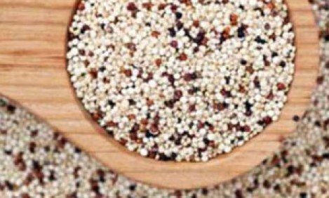 K&iota;&nu;ό&alpha;: &eta; &theta;&alpha;&upsilon;&mu;&alpha;&tau;&omicron;&upsilon;&rho;&gamma;ή &pi;&lambda;ή&rho;&eta;&sigmaf; &tau;&rho;&omicron;&phi;ή !!!