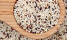 K&iota;&nu;ό&alpha;: &eta; &theta;&alpha;&upsilon;&mu;&alpha;&tau;&omicron;&upsilon;&rho;&gamma;ή &pi;&lambda;ή&rho;&eta;&sigmaf; &tau;&rho;&omicron;&phi;ή !!!