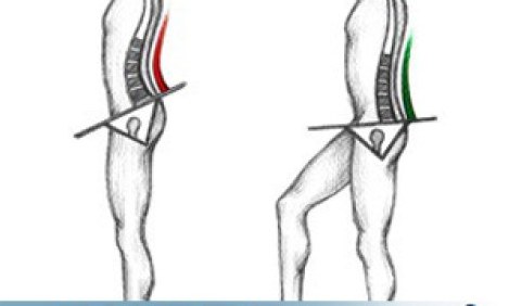 O&sigma;&phi;&upsilon;&alpha;&lambda;&gamma;ί&alpha;: T&iota; &kappa;ά&nu;&omega; ό&tau;&alpha;&nu; &pi;&omicron;&nu;ά&epsilon;&iota; &eta; &mu;έ&sigma;&eta;?
